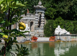 villa-reale-parco1-250x182